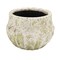 Hello Honey Terra-cotta Planter with Crackle Glaze and Terrazzo Finish